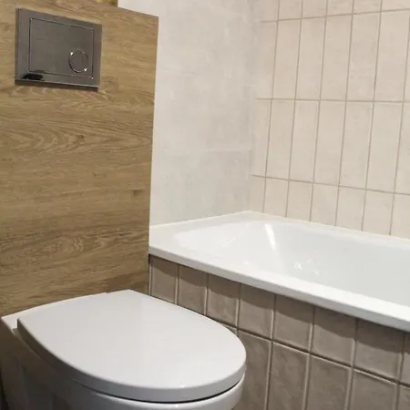 Cozy Near Appartement Druskininkai